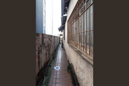 Corredor de casa para alugar com 2 quartos, 142m² em Vila Mazzei, São Paulo