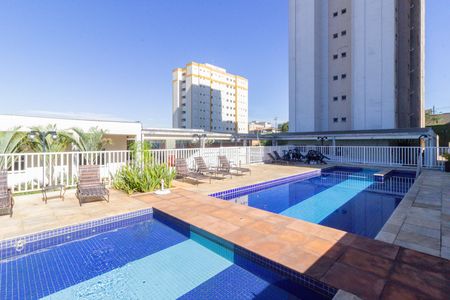 Área comum - Piscina de apartamento para alugar com 2 quartos, 53m² em Vila Siqueira (zona Norte), São Paulo