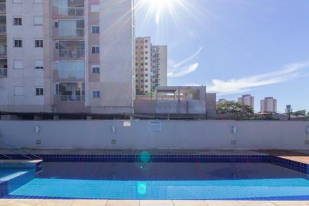 Área comum - Piscina de apartamento para alugar com 2 quartos, 53m² em Vila Siqueira (zona Norte), São Paulo