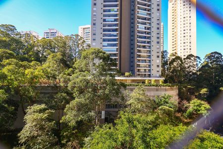 Vista da Varanda da Sala de apartamento para alugar com 2 quartos, 55m² em Vila Andrade, São Paulo