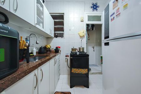 Cozinha  de apartamento para alugar com 1 quarto, 49m² em Laranjeiras, Rio de Janeiro