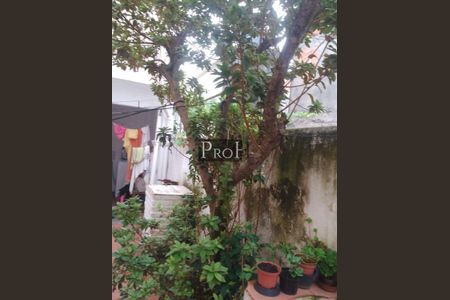 Casa à venda com 3 quartos, 168m² em Jardim Sao Caetano, São Caetano do Sul