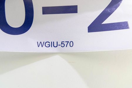 Apartamento para alugar com 45m², 2 quartos e sem vagaWGIU-570