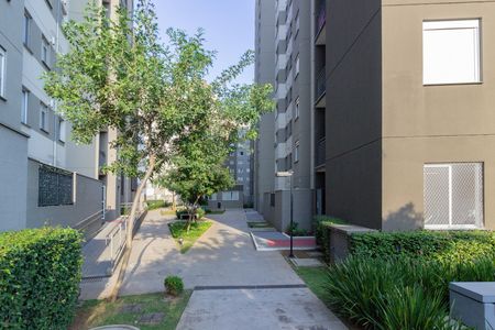 Apartamento à venda com 42m², 2 quartos e sem vaga Apartamento à venda com 42m², 2 quartos e sem vagaÁrea comum