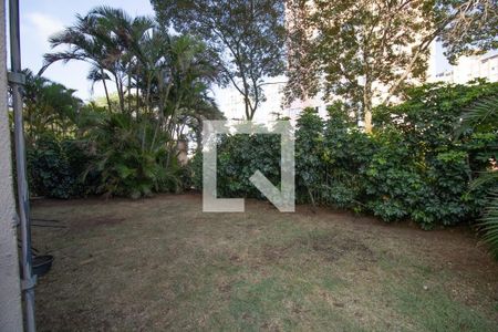 Área comum - Espaço pet de apartamento para alugar com 2 quartos, 65m² em Vila Santa Catarina, São Paulo