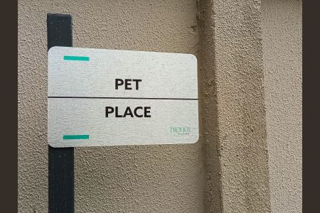Apartamento para alugar com 39m², 2 quartos e sem vaga Apartamento para alugar com 39m², 2 quartos e sem vagaEspaço Pet