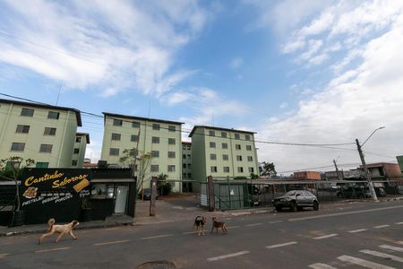 FACHADA DO CONDOMÍNIO de apartamento para alugar com 2 quartos, 50m² em Techno Park, Campinas