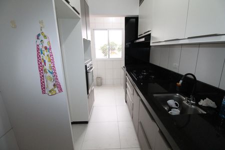 Cozinha de apartamento para alugar com 2 quartos, 65m² em Conjunto Residencial Trinta E Um de Marco, São José dos Campos