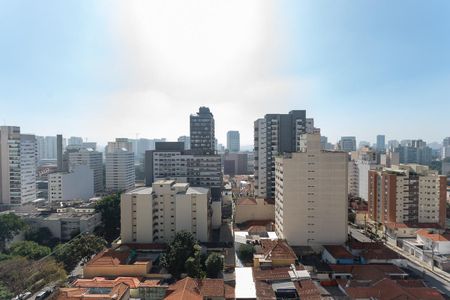 Vista de apartamento para alugar com 1 quarto, 21m² em Pompeia, São Paulo