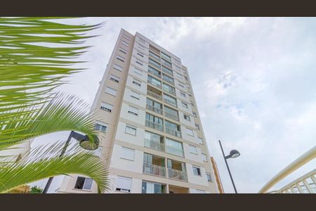 Foto 09 de apartamento à venda com 2 quartos, 46m² em Vila Barreto, São Paulo