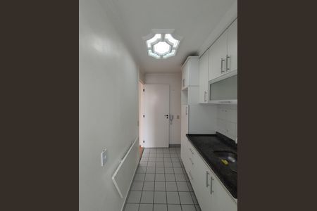 Cozinha - Armários de apartamento para alugar com 2 quartos, 48m² em Vila Vera, São Paulo
