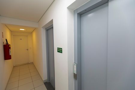 HALL DOS ELEVADORES de apartamento para alugar com 3 quartos, 65m² em Parque Brasília, Campinas