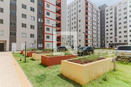 Área comum - Horta de apartamento para alugar com 2 quartos, 37m² em Jaguaré, São Paulo