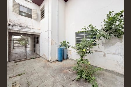 Quintal de casa para alugar com 4 quartos, 225m² em Parque Colonial, São Paulo