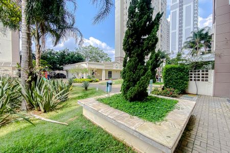 Apartamento para alugar com 75m², 2 quartos e 2 vagasÁrea comum