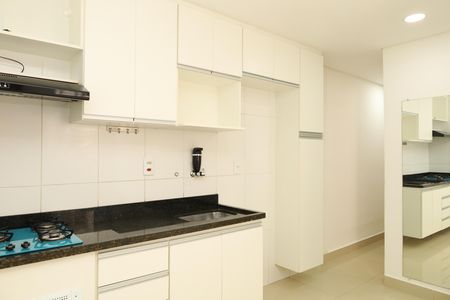 Cozinha de apartamento para alugar com 2 quartos, 48m² em Conjunto Residencial José Bonifácio, São Paulo