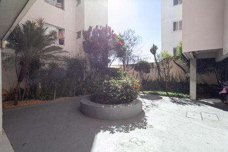 Área comum de apartamento para alugar com 2 quartos, 62m² em Arvoredo, Contagem