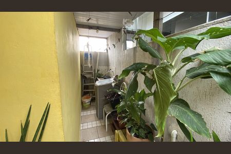 Área de Serviço de casa para alugar com 1 quarto, 40m² em São Cristóvão, Cabo Frio