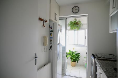Cozinha de apartamento para alugar com 2 quartos, 55m² em Sacomã, São Paulo