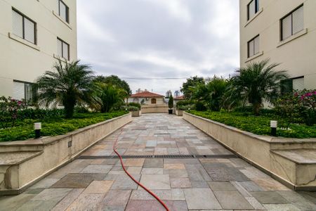 Área comum de apartamento para alugar com 3 quartos, 73m² em Vila Campestre, São Paulo