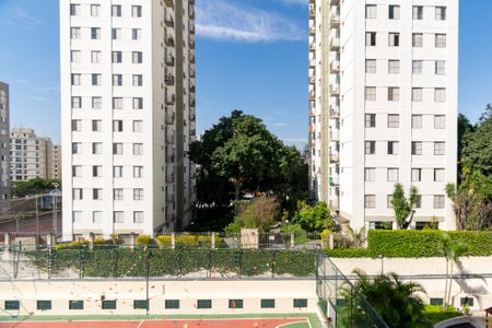 Vista da Suíte  de apartamento para alugar com 3 quartos, 73m² em Vila Campestre, São Paulo