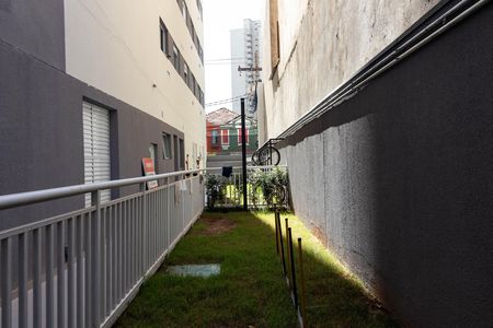 Apartamento para alugar com 35m², 1 quarto e sem vaga Apartamento para alugar com 35m², 1 quarto e sem vagaÁrea Pet