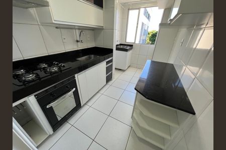 Cozinha de apartamento para alugar com 2 quartos, 58m² em Santa Monica, Belo Horizonte