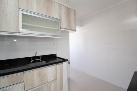 Cozinha de apartamento para alugar com 2 quartos, 55m² em Moinho Velho, São Paulo