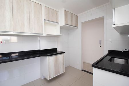 Cozinha de apartamento para alugar com 2 quartos, 55m² em Moinho Velho, São Paulo