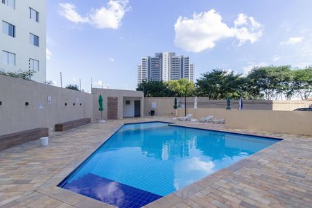 Área comum - Piscina de apartamento para alugar com 3 quartos, 70m² em Vila dos Remedios, São Paulo