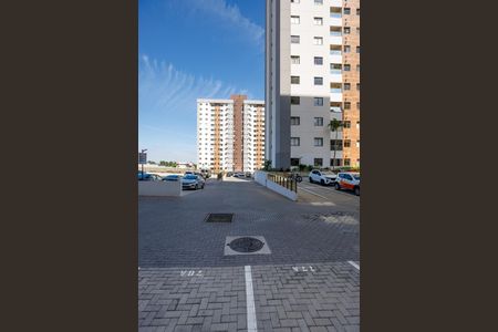 Apartamento para alugar com 74m², 3 quartos e 2 vagas