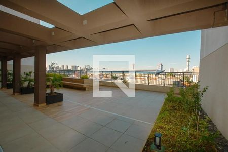 Área Comum de apartamento para alugar com 1 quarto, 31m² em Vila Sonia, São Paulo
