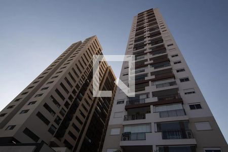 Fachada de apartamento para alugar com 1 quarto, 31m² em Vila Sonia, São Paulo