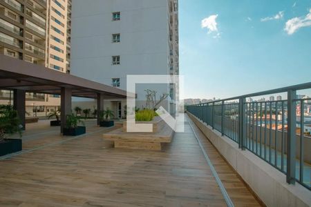 Área Comum de apartamento para alugar com 1 quarto, 31m² em Vila Sonia, São Paulo