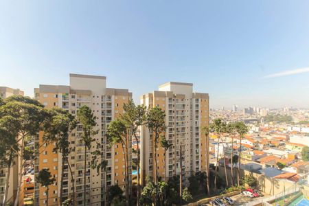 Apartamento para alugar com 64m², 2 quartos e 1 vaga Apartamento para alugar com 64m², 2 quartos e 1 vagaVaranda da Suíte