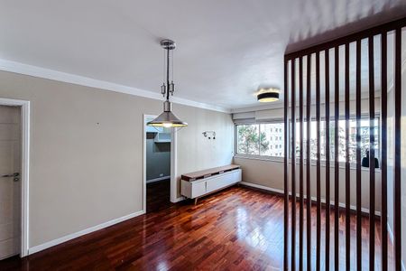 Sala de apartamento para alugar com 2 quartos, 110m² em Vila Mariana, São Paulo