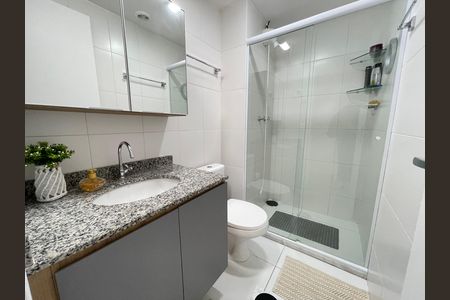Banheiro de apartamento para alugar com 2 quartos, 55m² em Vila Sonia, São Paulo