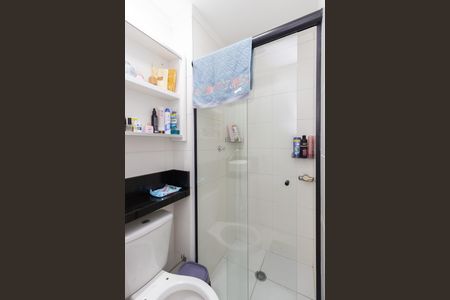 Banheiro de apartamento para alugar com 2 quartos, 32m² em Vila Nova Curuca, São Paulo