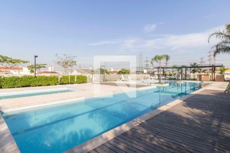 Área comum - Piscina de apartamento para alugar com 3 quartos, 88m² em Carandiru, São Paulo