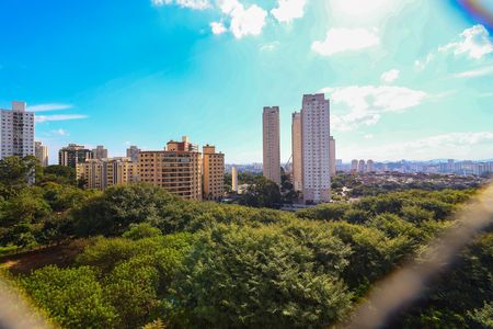 Apartamento para alugar com 2 quartos, 78m² em Vila Suzana, São Paulo