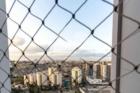 Apartamento à venda com 3 quartos, 75m² em Vila Constancia, São Paulo