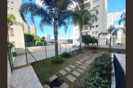 Apartamento à venda com 2 quartos, 70m² em Vila Santa Catarina, São Paulo