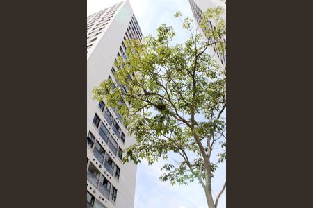 Apartamento para alugar com 69m², 2 quartos e 1 vaga