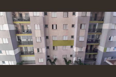 Vista do Quarto 1 de apartamento para alugar com 2 quartos, 49m² em São Pedro, Osasco