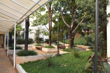 Apartamento à venda com 69m², 2 quartos e 1 vaga Apartamento à venda com 69m², 2 quartos e 1 vagaÁrea de circulação e jardim