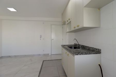 Cozinha de apartamento para alugar com 2 quartos, 47m² em Centro, Santo André