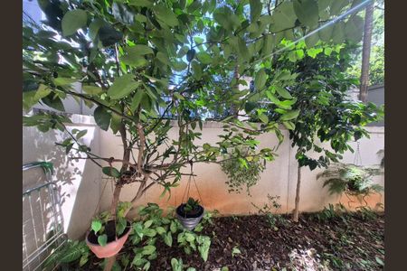 Foto 11 de apartamento à venda com 1 quarto, 60m² em Vila Monte Alegre, São Paulo