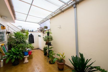 Quintal de casa à venda com 3 quartos, 181m² em Parque Bandeirante, Santo André