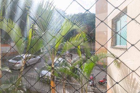 Apartamento para alugar com 2 quartos, 48m² em Juliana, Belo Horizonte