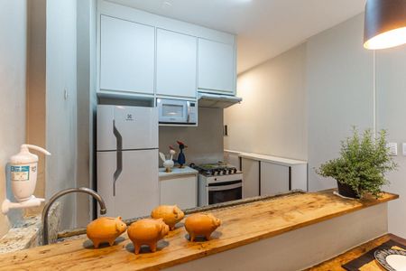 Cozinha de apartamento para alugar com 1 quarto, 43m² em Centro Histórico de São Paulo, São Paulo